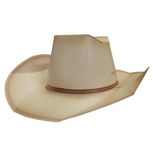 Cowboy Hat